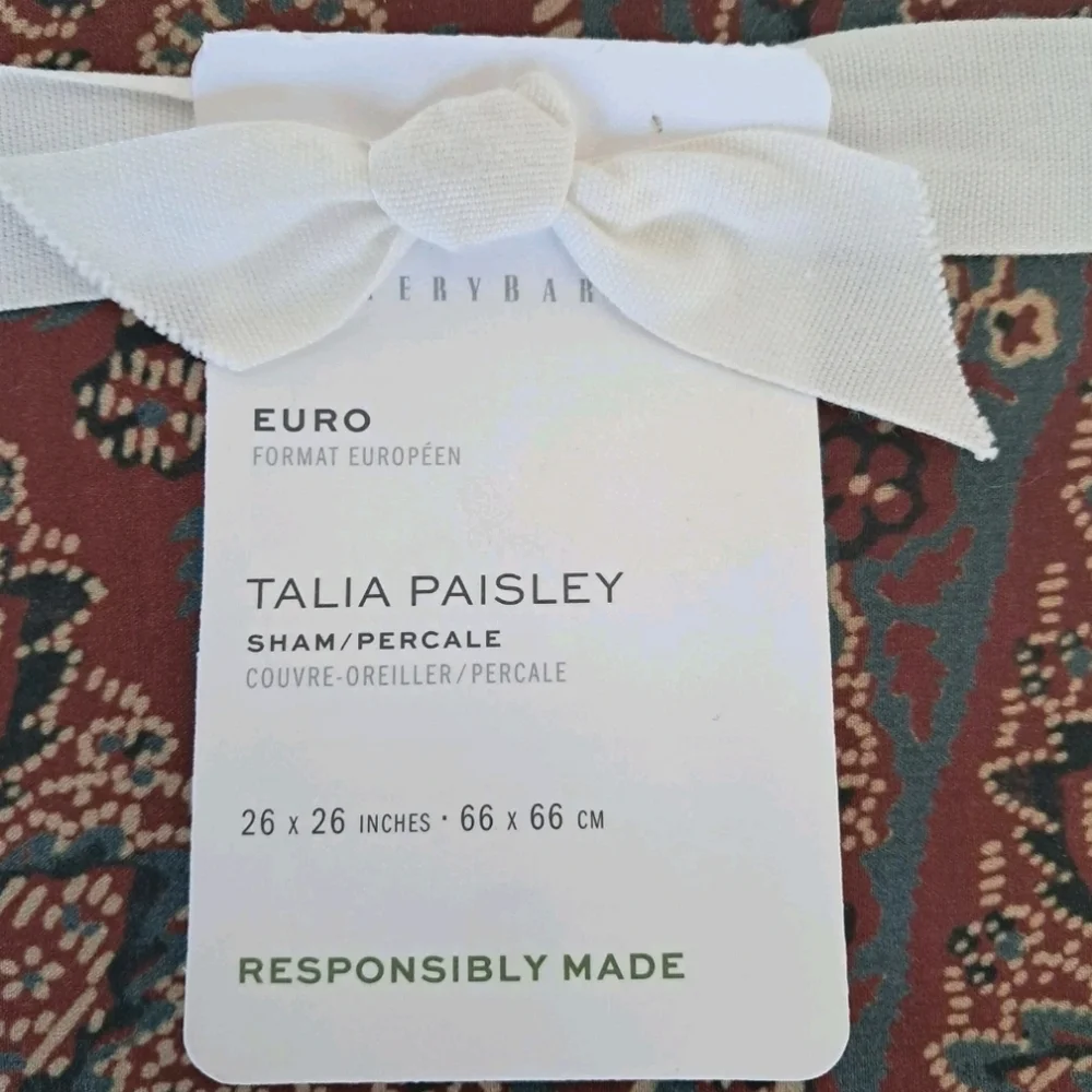 Pottery Barn Talia Paisley Percale Sham Set of 2